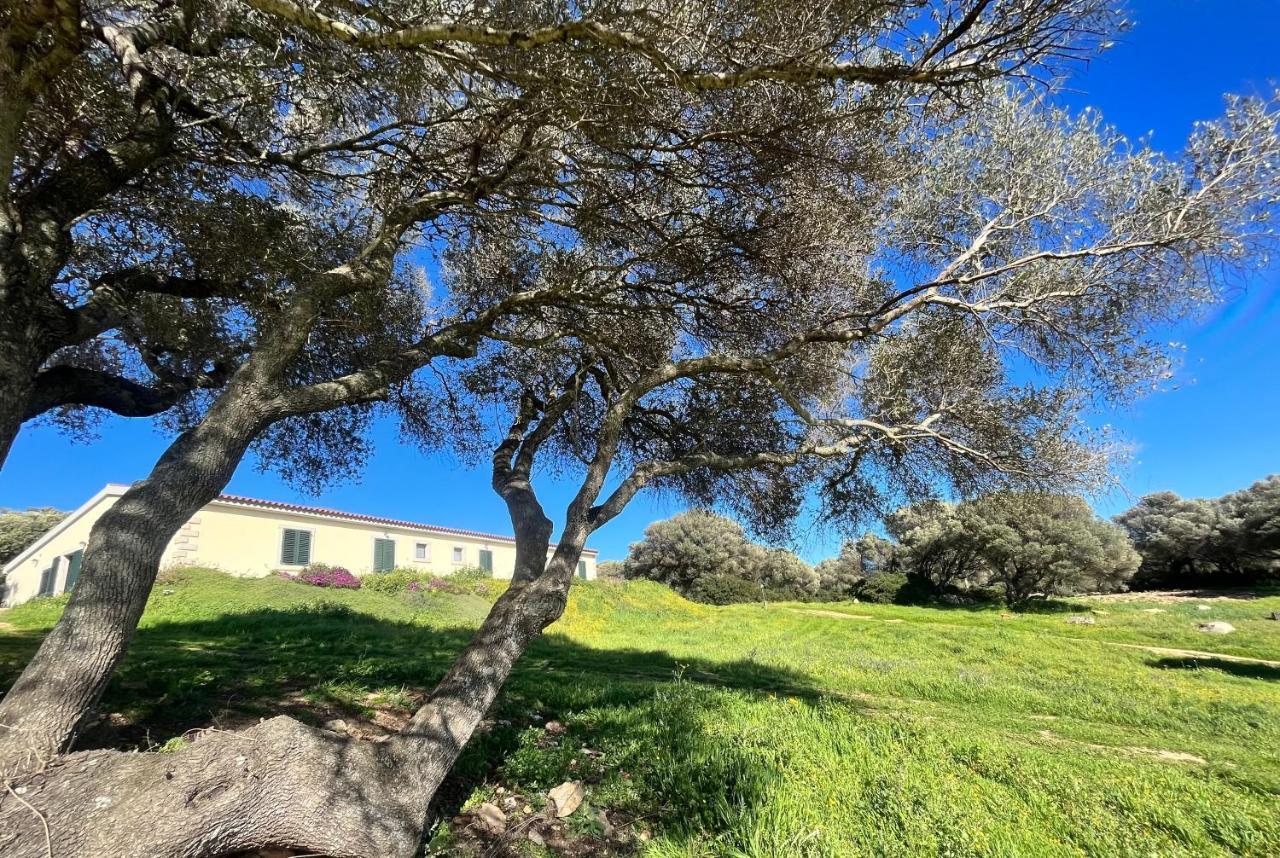 Bed and Breakfast La Striscia Larga San Pasquale Exterior foto