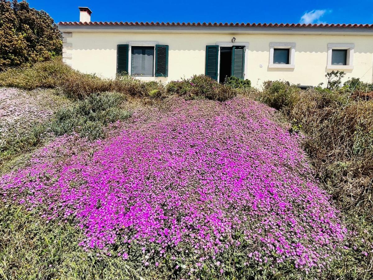Bed and Breakfast La Striscia Larga San Pasquale Exterior foto